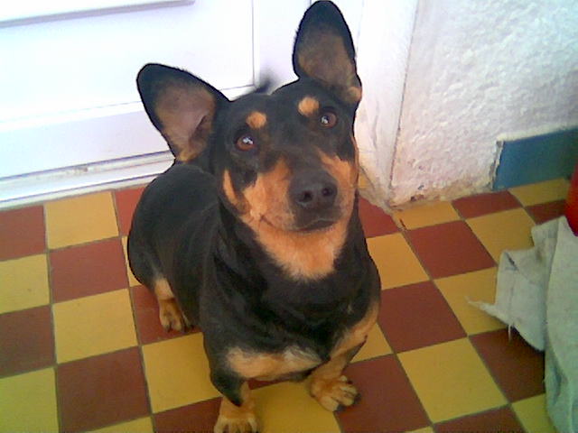 Snímka010.jpg